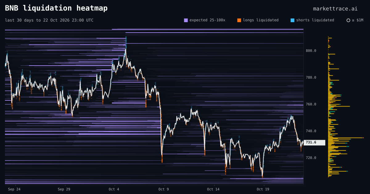 BNB liquidation heatmap, last 30 days