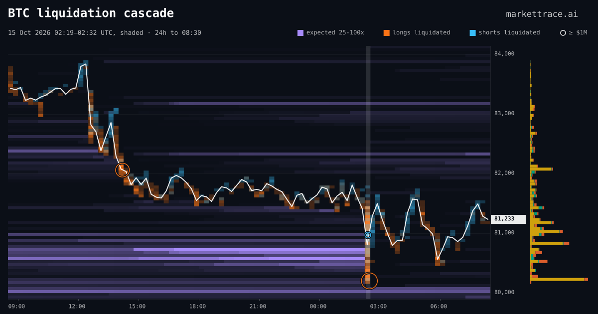 BTC liquidation heatmap for the 24 hours around the cascade of 15 Oct 2026, 02:19 UTC, the cascade shaded