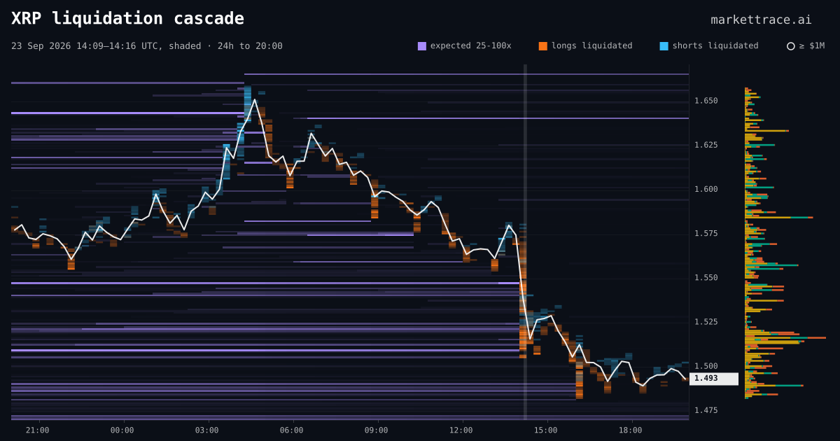 XRP liquidation heatmap for the 24 hours around the cascade of 23 Sept 2026, 14:09 UTC, the cascade shaded